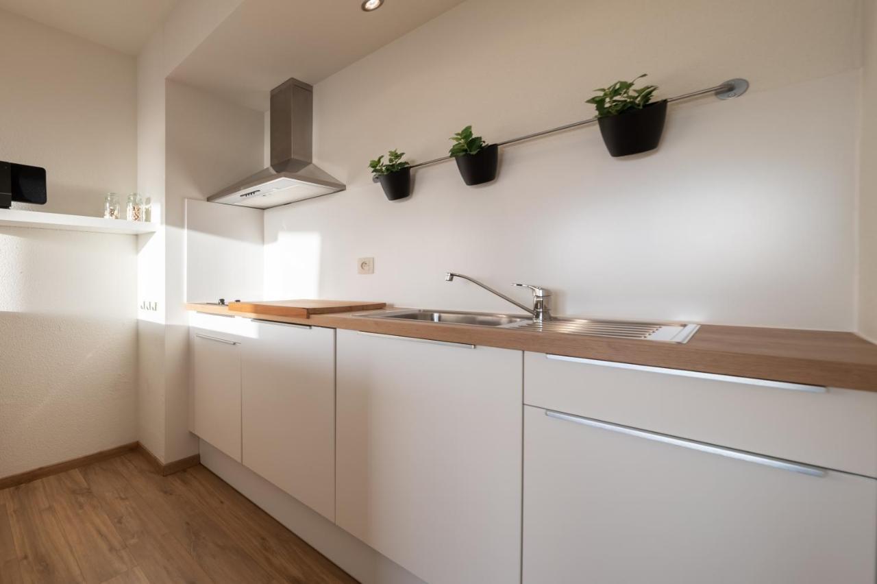 Vakantiestudio De Zeeparel Де Пане Екстериор снимка